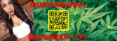 крисы Ливны