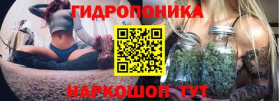 крисы Ливны