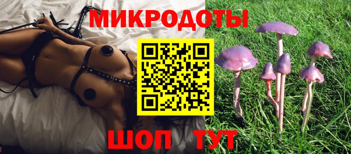 Шебекино  Галлюциногенные грибы MAGIC MUSHROOMS  Псилоцибиновые грибы мухоморы  Вход с VPN 