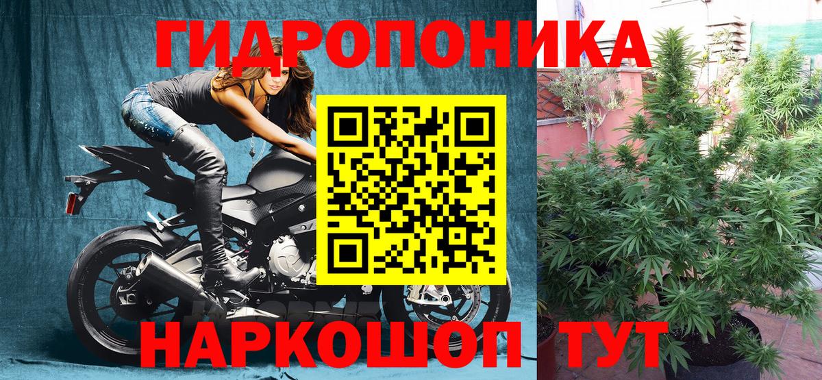 Конопля MAZAR Шебекино